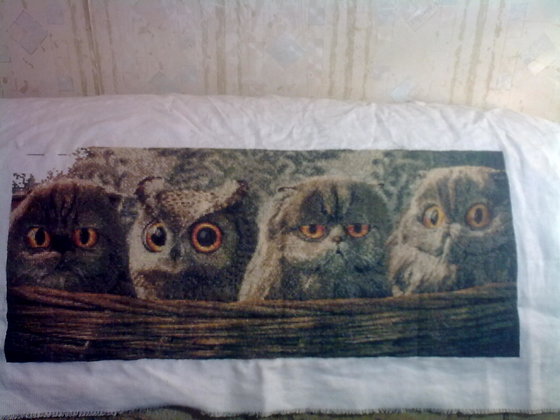 Этап процесса «Глазастики»