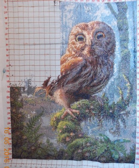 Этап процесса «Сова в лесу»