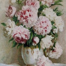 Процесс «Нежные пионы»