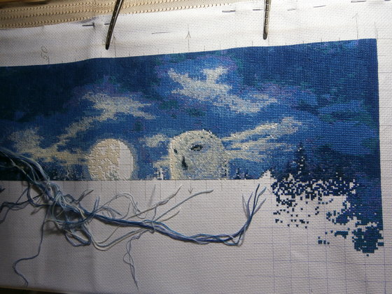 Этап процесса «Лунная ночь (совы)»