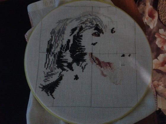 Этап процесса «Соня»