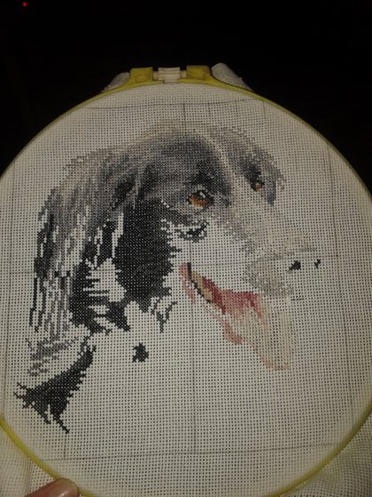 Этап процесса «Соня»