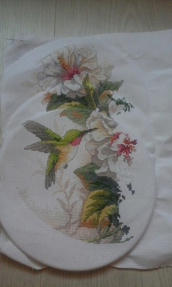 Этап процесса «Колибри и гибискус.»