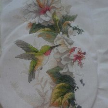 Процесс «Колибри и гибискус.»