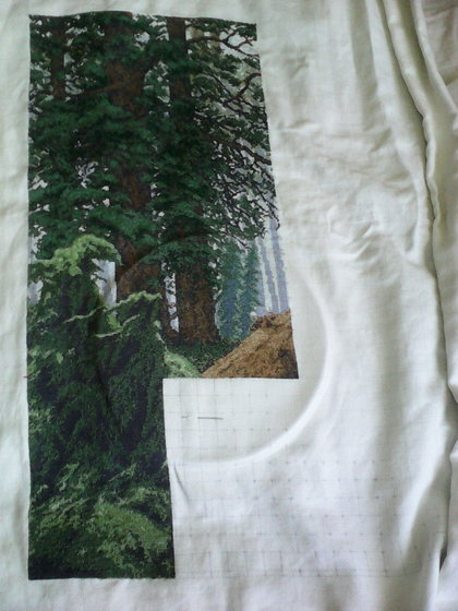 Этап процесса «утро в сосновом лесу»