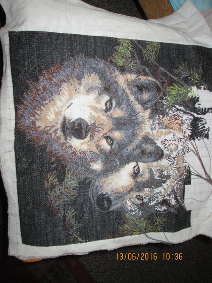 Этап процесса «Волки»