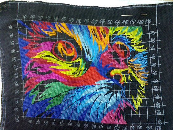 Этап процесса «Радужный кот»