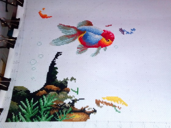 Этап процесса «Colorful fish «DOME»»