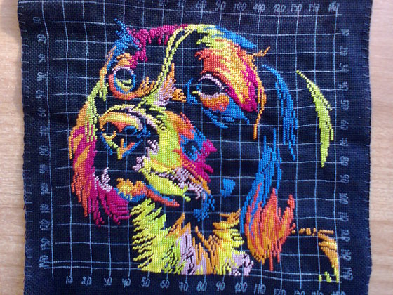 Этап процесса «Радужный пес»