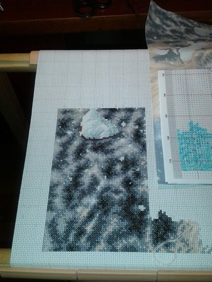 Этап процесса «Снежный леопард»