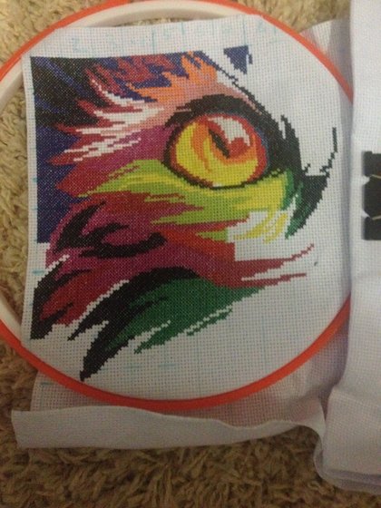 Этап процесса «Радужный кот;)»