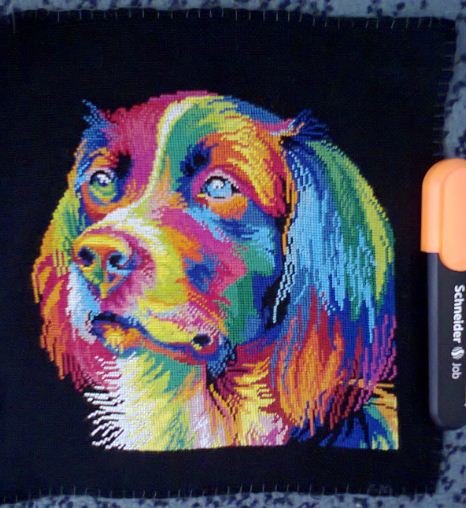 Этап процесса «Радужный пес»