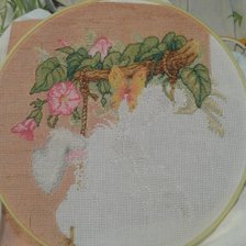 Процесс «Солнечный зайчик»