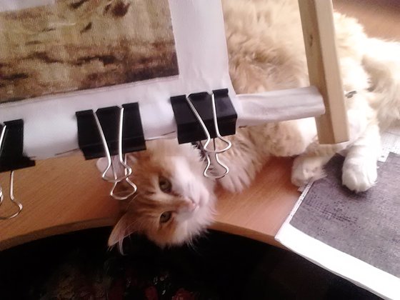 Этап процесса «Ангел-хранитель»