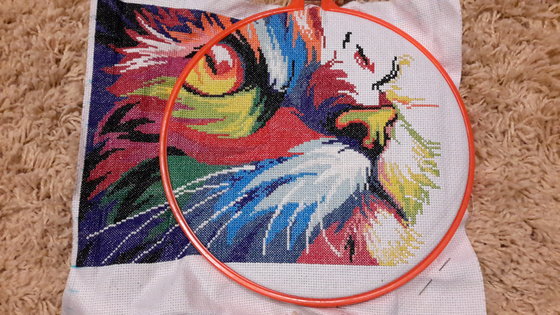 Этап процесса «Радужный кот;)»