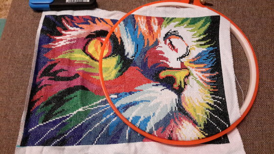 Этап процесса «Радужный кот;)»