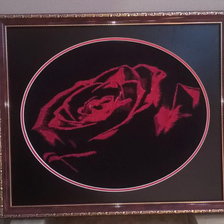 Процесс «Красная роза»