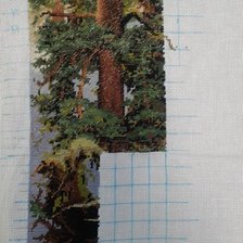 Процесс «Утро в сосновом бору»