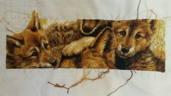 Этап процесса «Семейство волков»