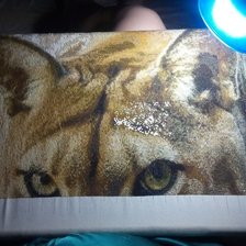 Процесс «Пума»