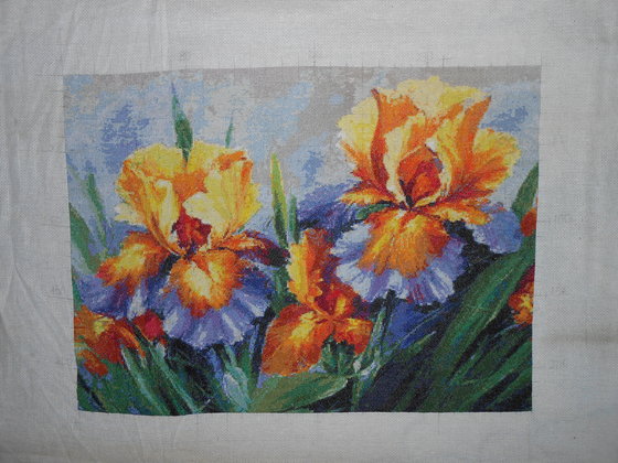 Этап процесса «Ирисы»