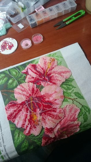 Этап процесса «Суданская Роза»