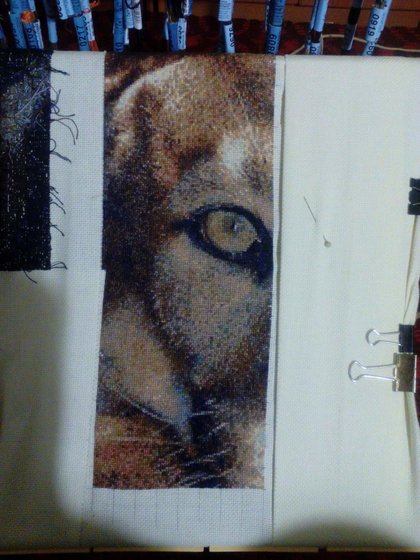 Этап процесса «ПУМА»