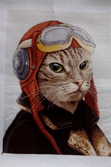 Этап процесса «Летчик»