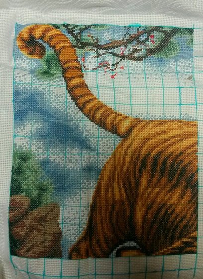 Этап процесса «Тигренок.»