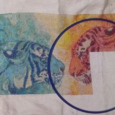 Процесс «Тигры»