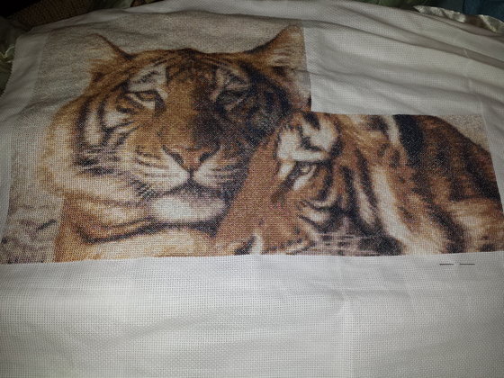 Этап процесса «тигры»