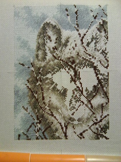 Этап процесса «Волк»