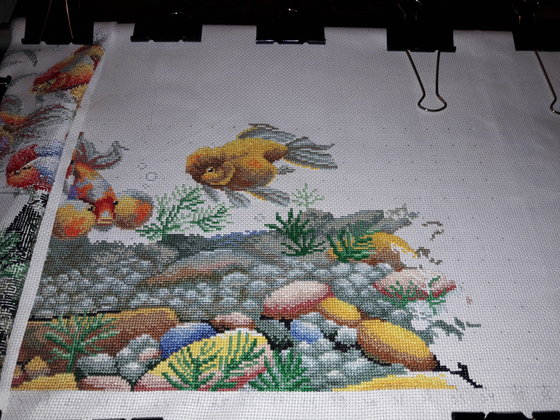 Этап процесса «Colorful fish «DOME»»