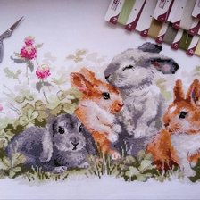 Процесс «Забавные крольчата "РИОЛИС"»