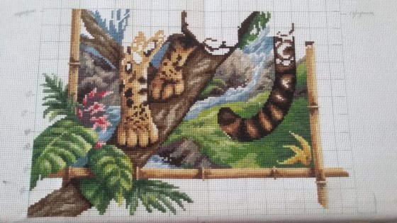 Этап процесса «Дымчатый леопард»