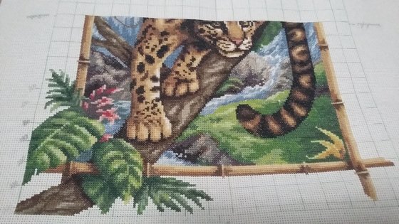 Этап процесса «Дымчатый леопард»