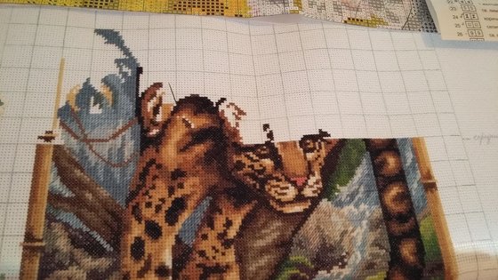 Этап процесса «Дымчатый леопард»