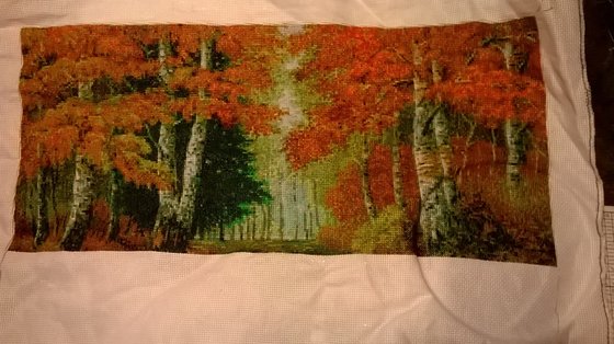 Этап процесса «Рыжая осень»