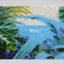 Процесс «Хищница А. Токарева»