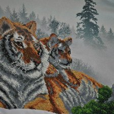 Процесс «тигры»