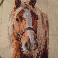 Процесс «Адель...»