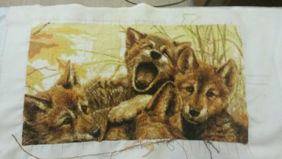 Этап процесса «Семейство волков»