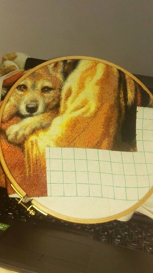 Этап процесса «11 лист из 12»