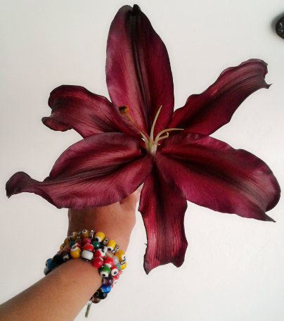 Этап процесса «orquidea nergra»