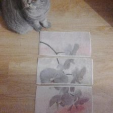 Процесс «№2349»