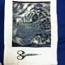 Процесс «Леопард»