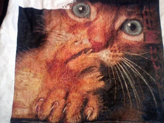 Этап процесса «Рыжик»