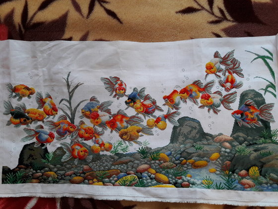 Этап процесса «Colorful fish «DOME»»