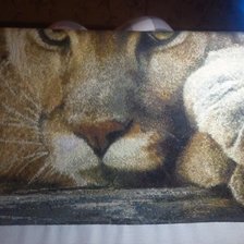 Процесс «Пума»