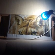 Процесс «пума»